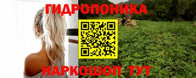 прущая мука Жуковский