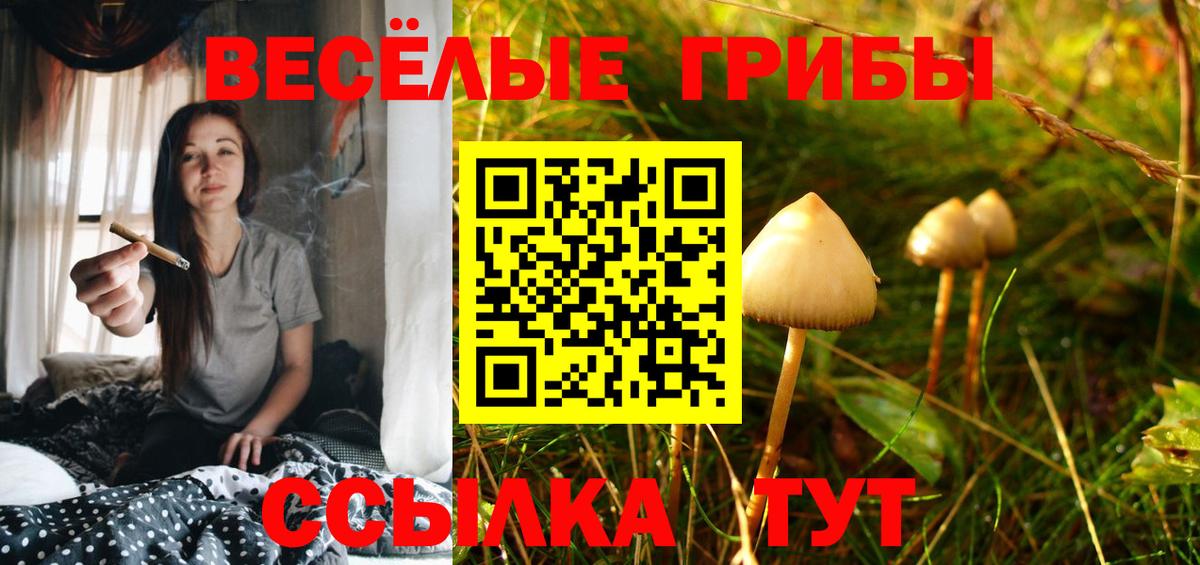 Псилоцибиновые грибы Cubensis Люберцы