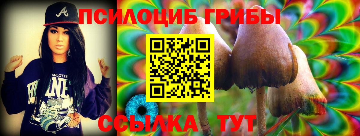 Люберцы  Галлюциногенные грибы GOLDEN TEACHER  Вход с VPN 